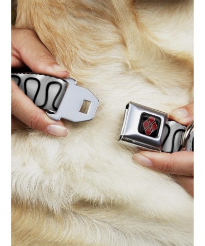 DC Comics Harley Quinns Collar Ruffle Seatbelt Buckle Dog Collar $9.96 Pet Collars